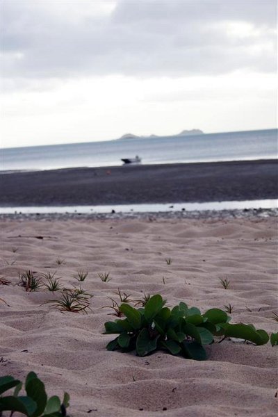 2817 Cape York 550D Aug11 (Medium).jpg